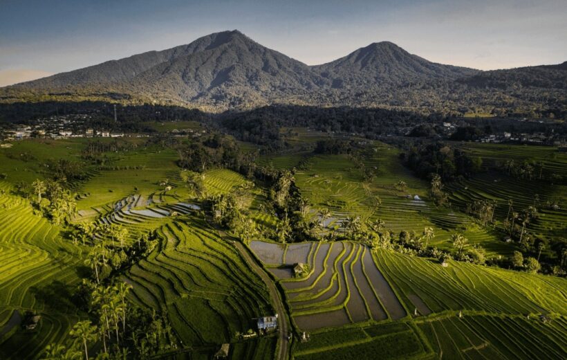 Bedugul Tour